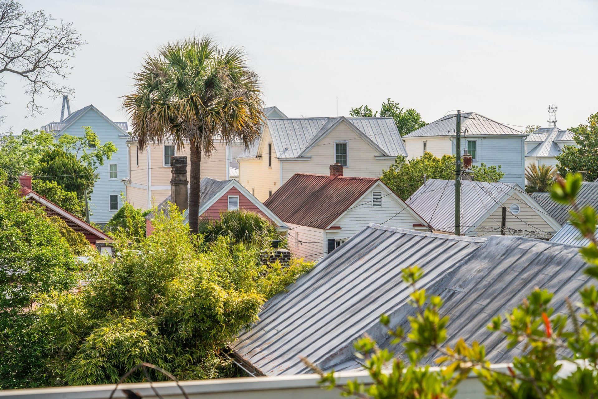 7 Carrere Court Photo 39