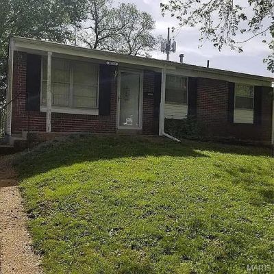 10202 Castle Drive, Saint Louis, MO 63136 Main Photo