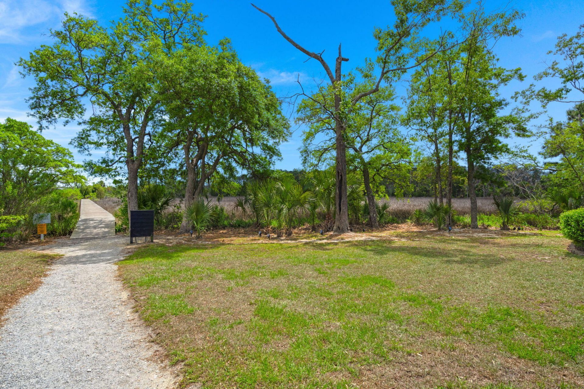 808 Forrest Drive Photo 45