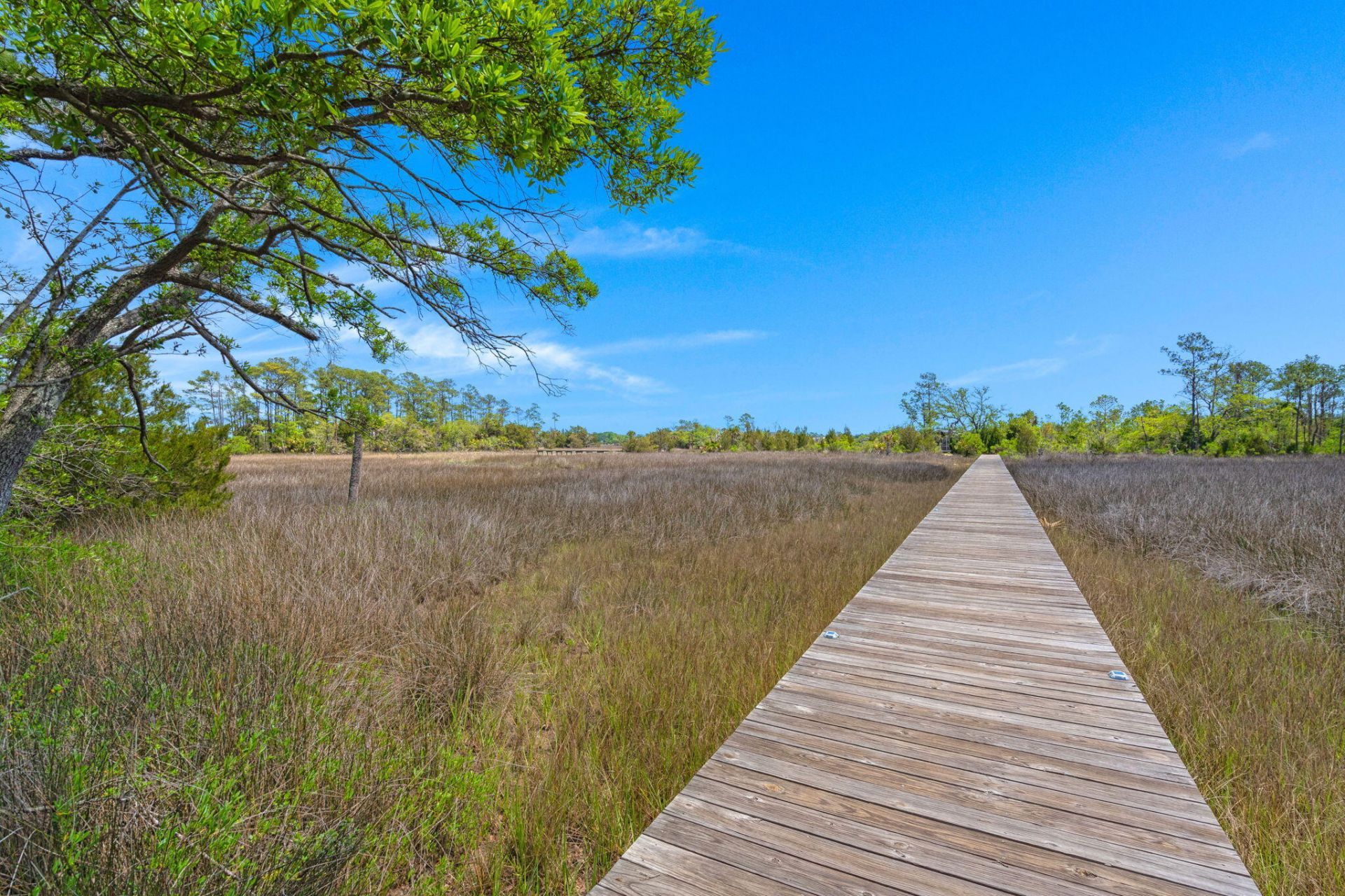 808 Forrest Drive Photo 46