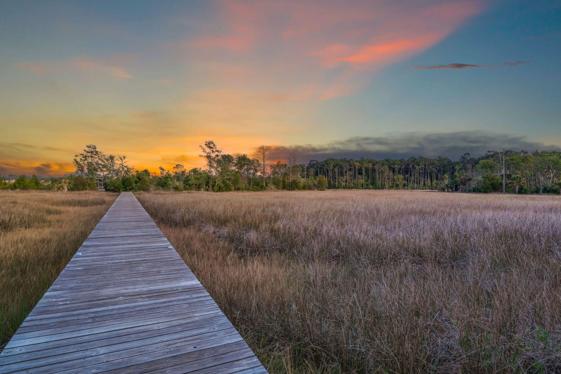 808 Forrest Drive Photo 47