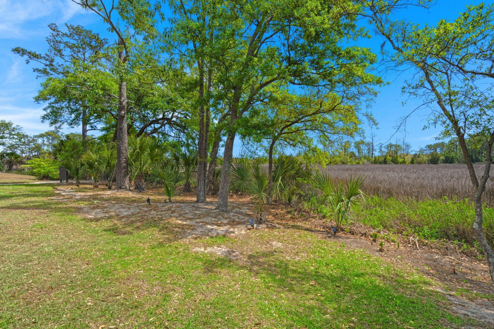 808 Forrest Drive Photo 49