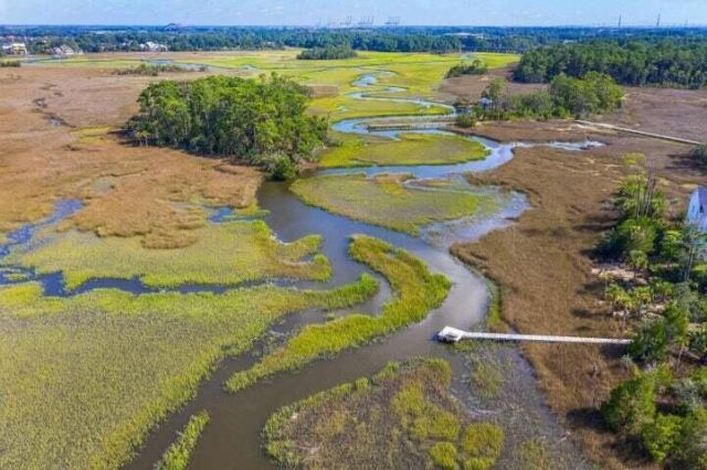 808 Forrest Drive Photo 67