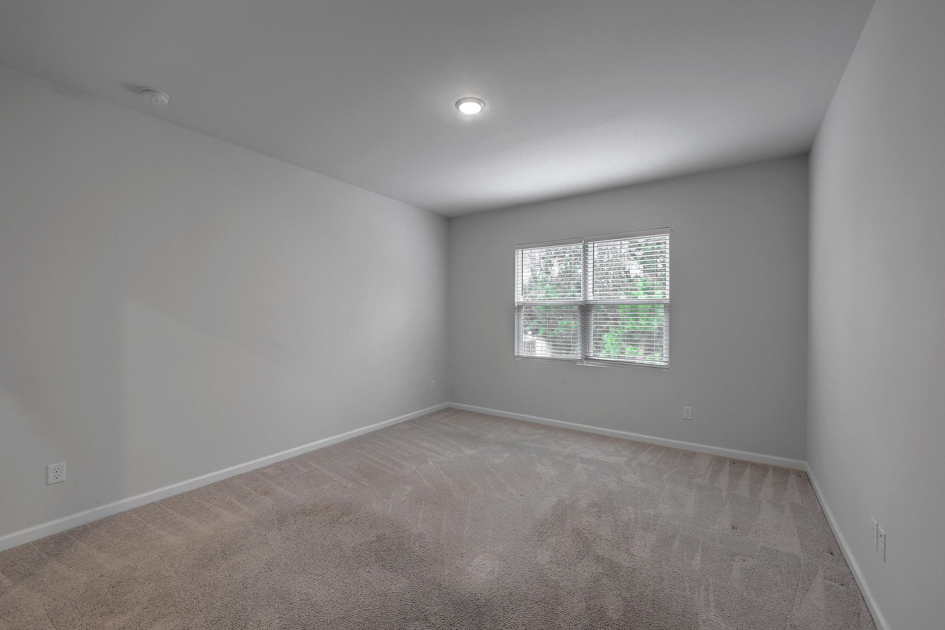 239 W Bradford Pointe Drive Photo 13