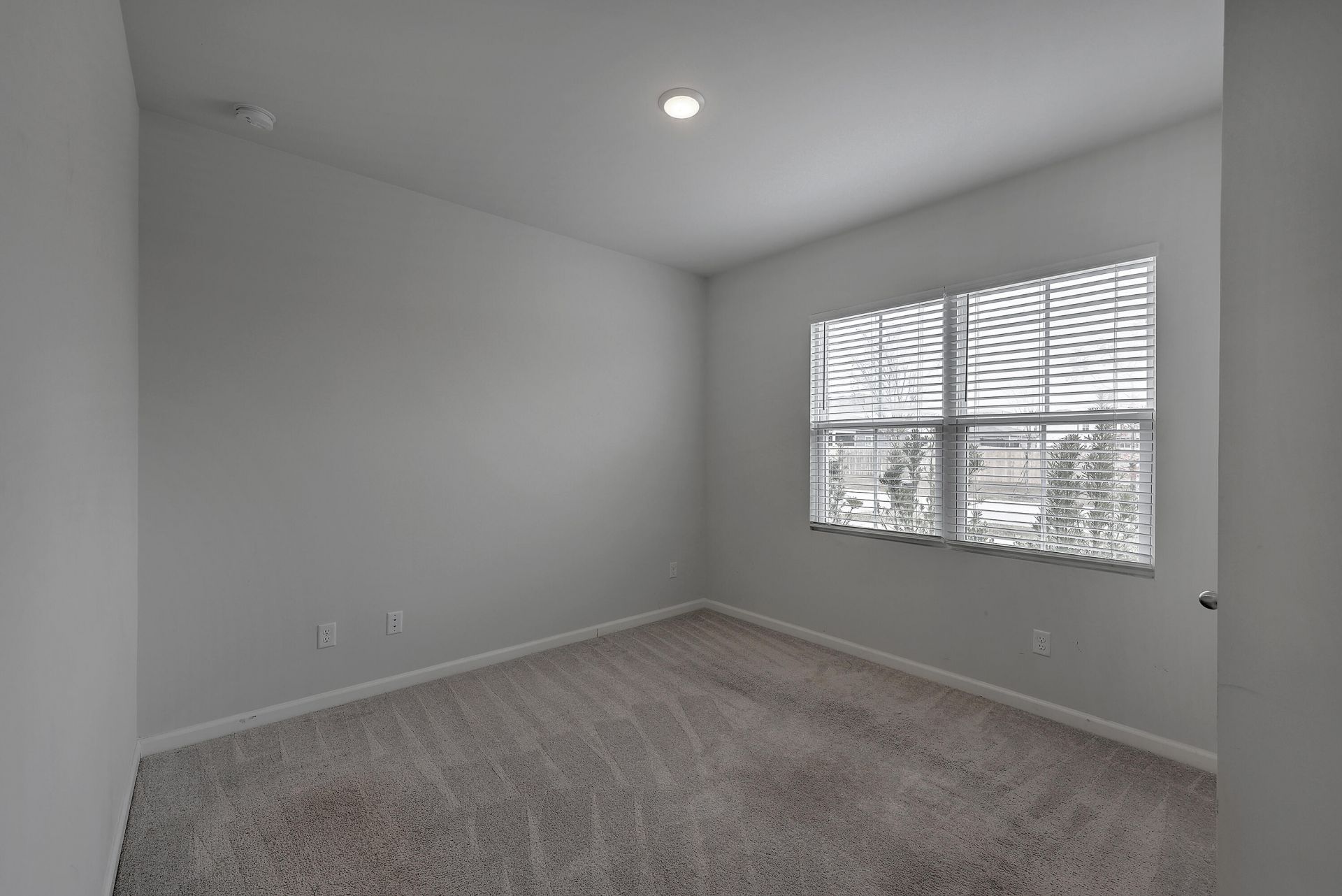 239 W Bradford Pointe Drive Photo 17