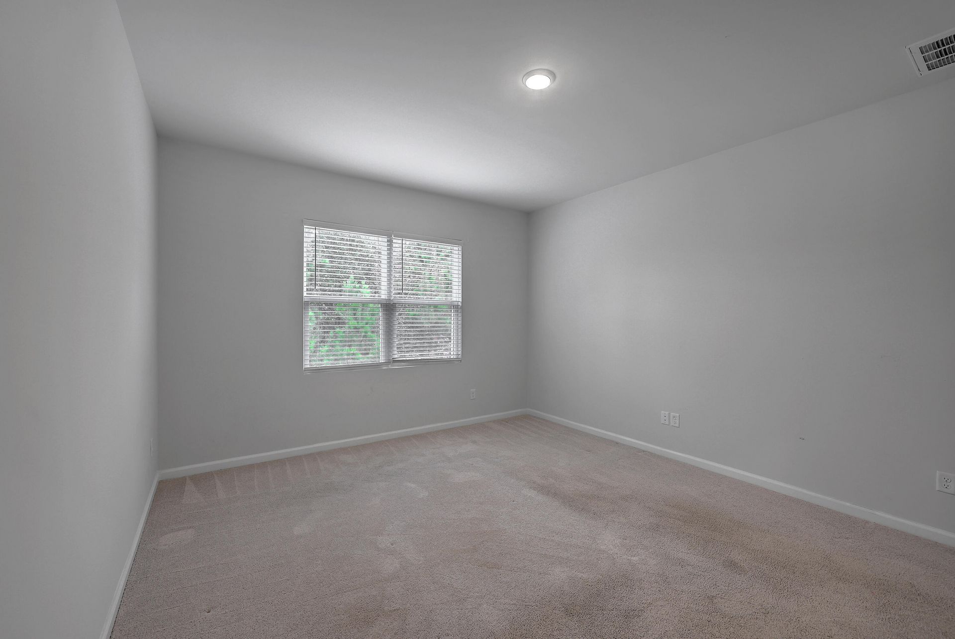 239 W Bradford Pointe Drive Photo 27