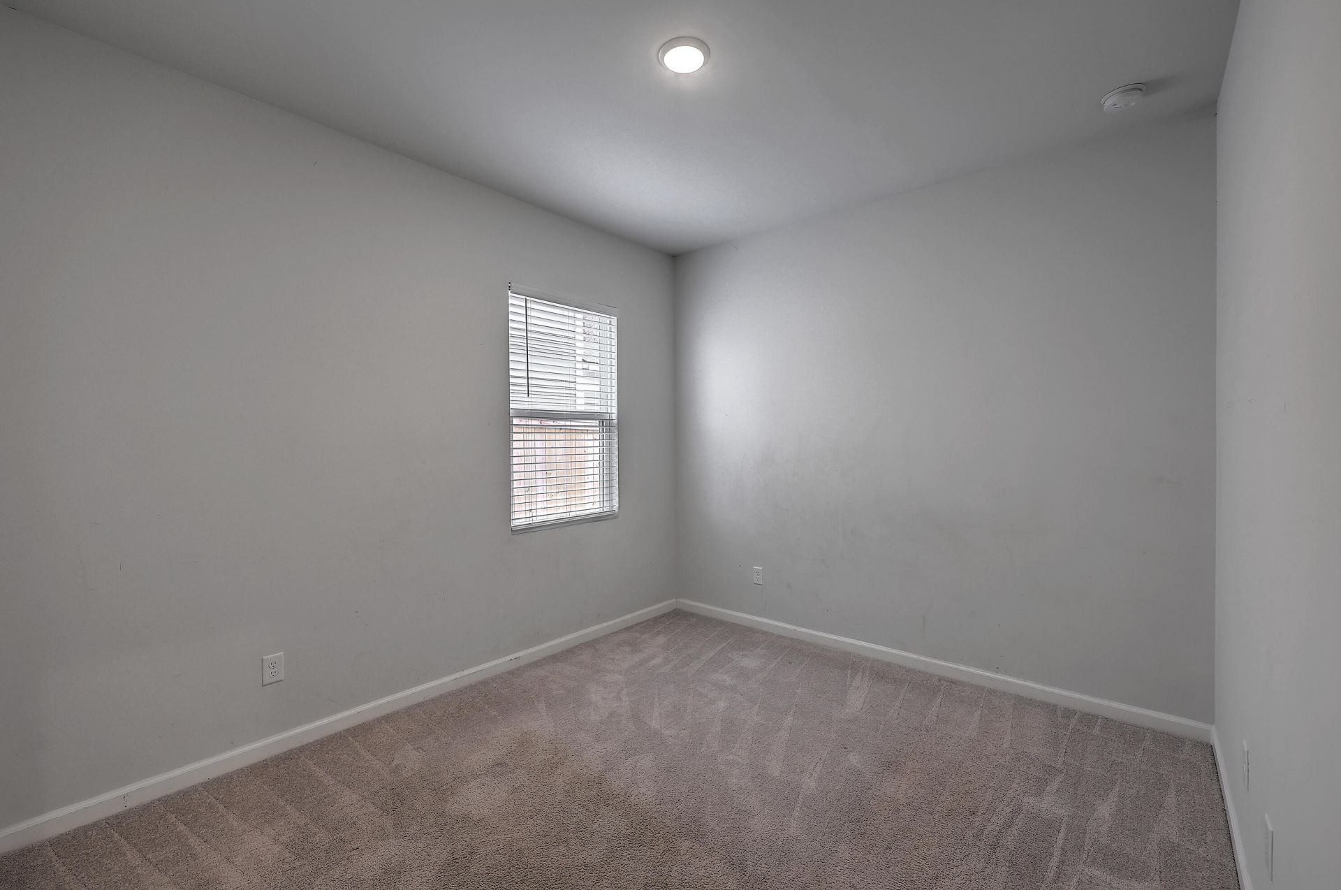 239 W Bradford Pointe Drive Photo 30