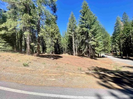 601 Deep Forest Road, Lake Almanor, CA 96137 Photo
