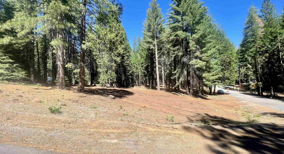 601 Deep Forest Road, Lake Almanor, CA 96137 Photo