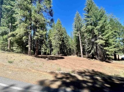 601 Deep Forest Road, Lake Almanor, CA 96137 Photo