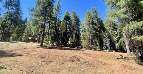 601 Deep Forest Road, Lake Almanor, CA 96137 Photo
