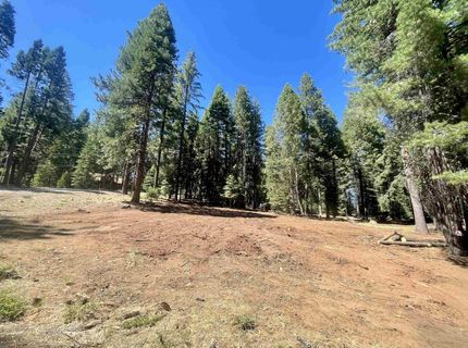 601 Deep Forest Road, Lake Almanor, CA 96137 Photo