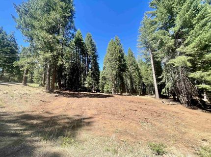 601 Deep Forest Road, Lake Almanor, CA 96137 Photo