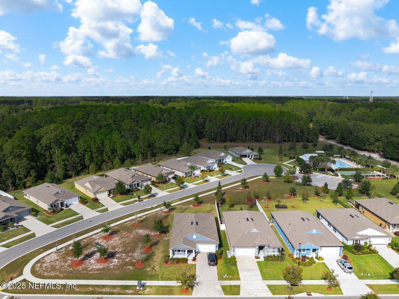 4019 Sandbank Court, Middleburg, FL 32068 Photo