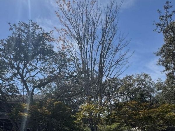 151 NW 6th Street, Oak Island, NC 28465