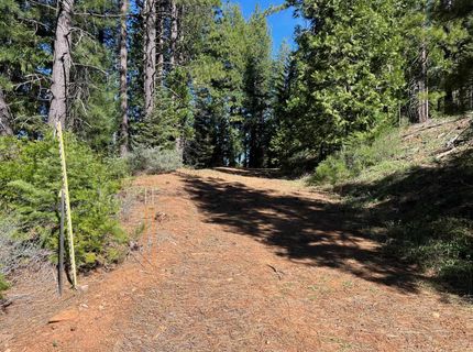 4976 Highway 147, Lake Almanor, CA 96137 Photo