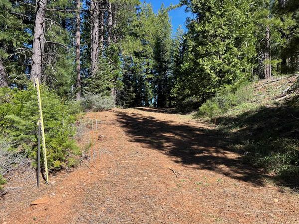 4976 Highway 147, Lake Almanor, CA 96137