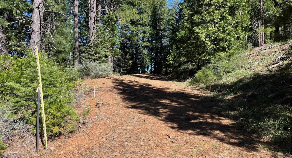 4976 Highway 147, Lake Almanor, CA 96137 Photo