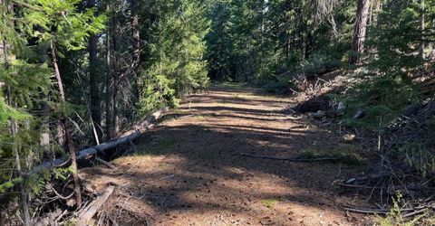 4976 Highway 147, Lake Almanor, CA 96137 Photo