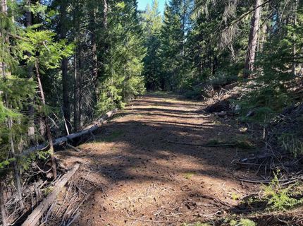 4976 Highway 147, Lake Almanor, CA 96137 Photo