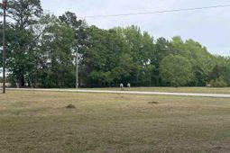 1004 N Center Road photo 4