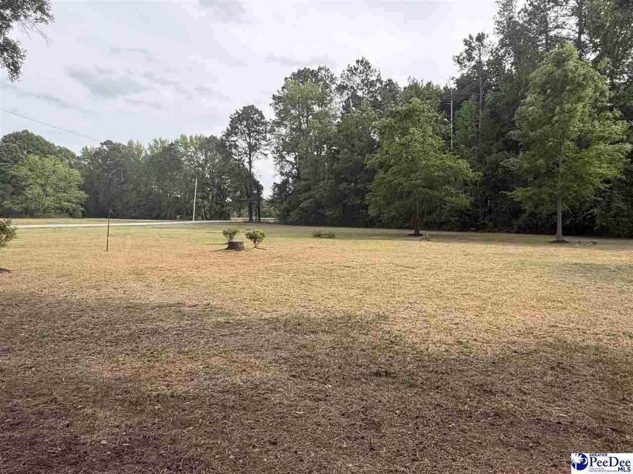 1004 N Center Road Photo 4