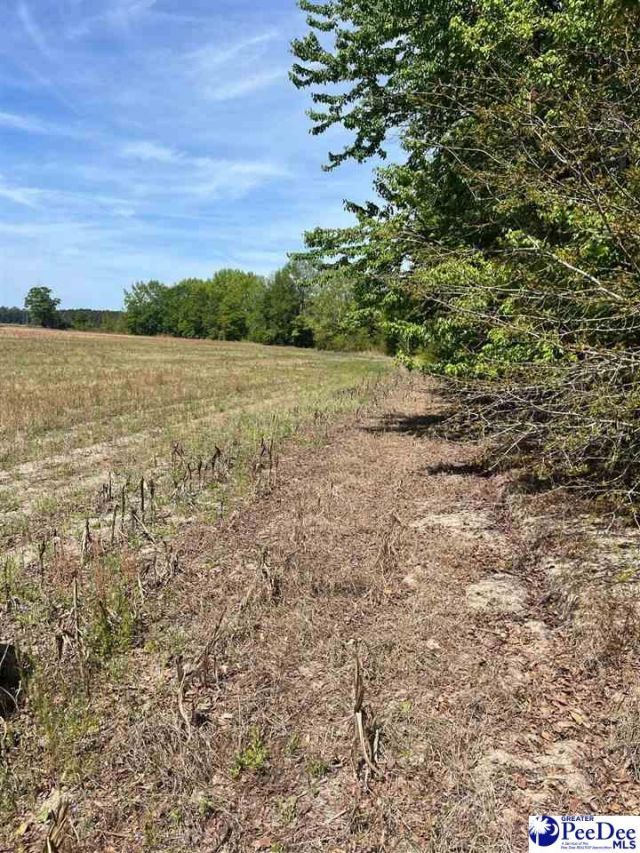 Mta 2 Judson Rd Photo 9