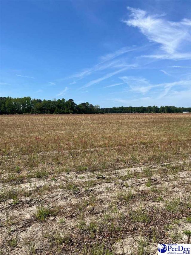 Mta 2 Judson Rd Photo 10