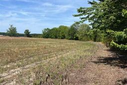 Mta 2 Judson Rd photo 4