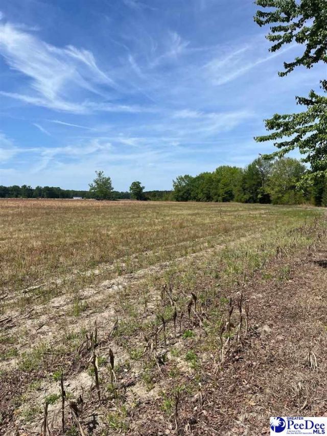 Mta 2 Judson Rd Photo 11