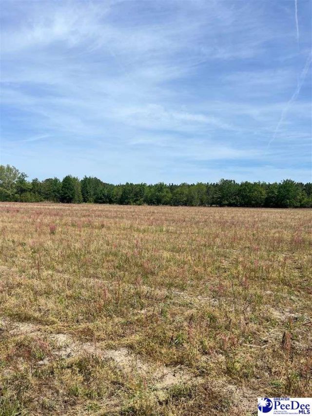 Mta 2 Judson Rd Photo 12