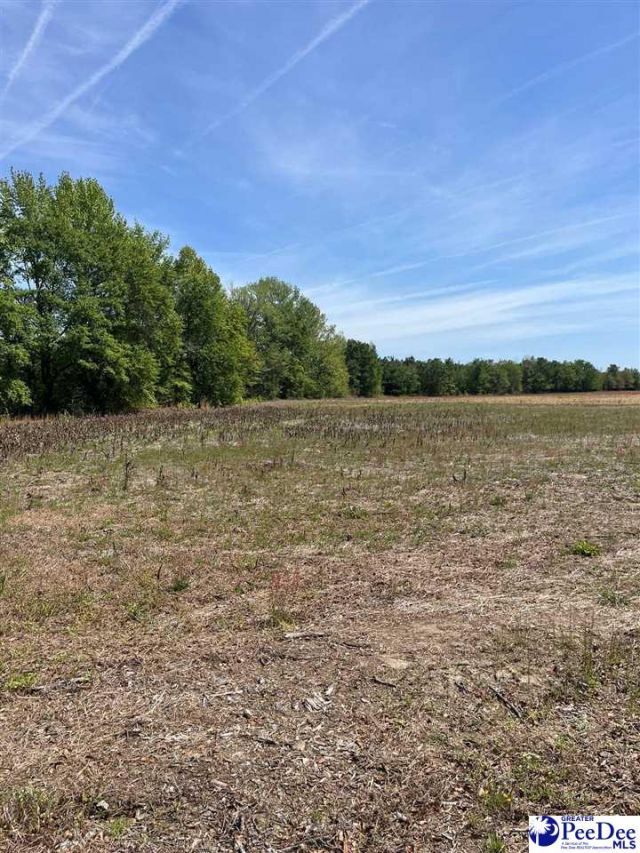 Mta 2 Judson Rd Photo 13