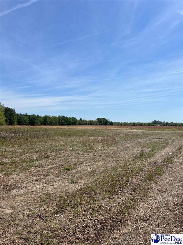 Mta 2 Judson Rd Photo 14