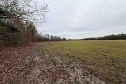 Mta 2 Judson Rd photo 4