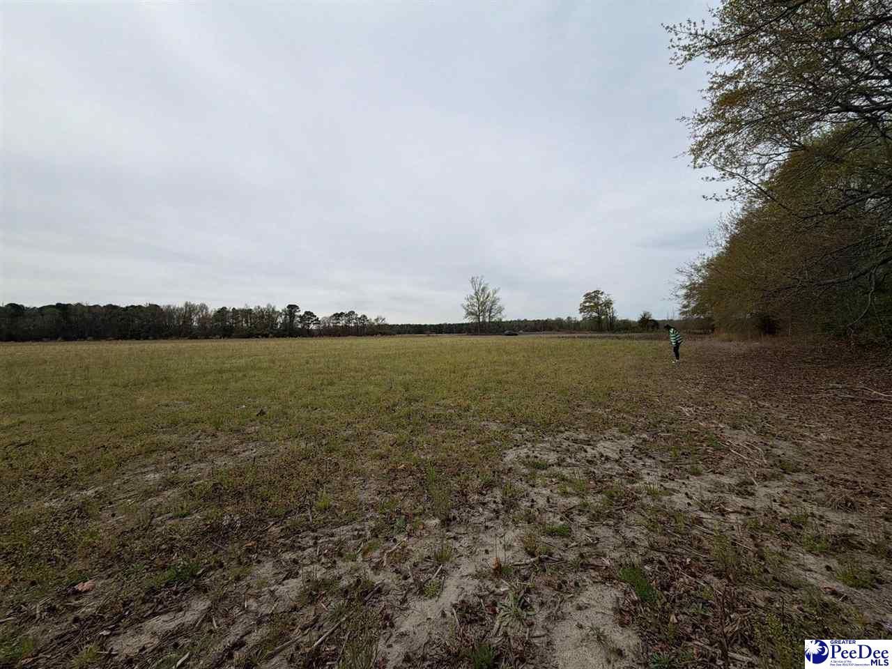 Mta 2 Judson Rd Photo 4