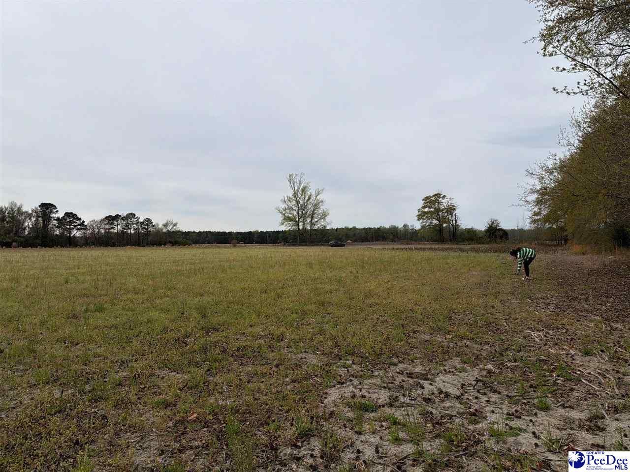 Mta 2 Judson Rd Photo 5