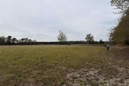 Mta 2 Judson Rd photo 4