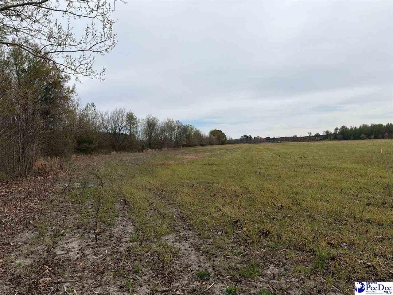 Mta 2 Judson Rd Photo 6