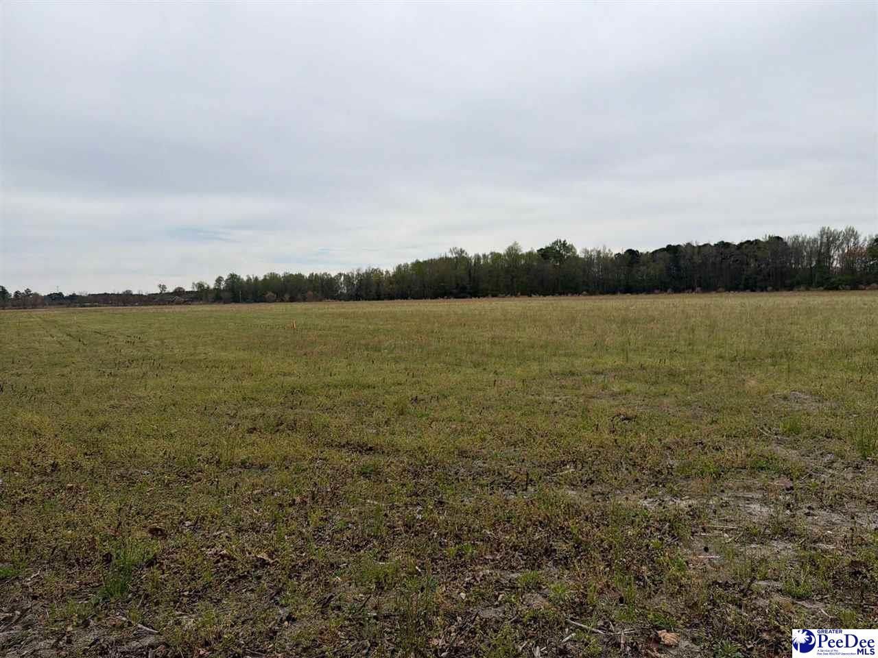 Mta 2 Judson Rd Photo 7