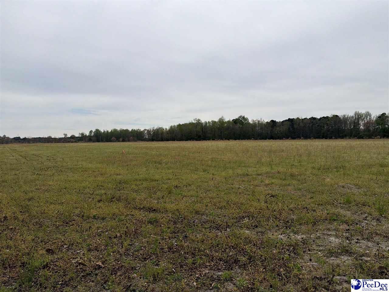 Mta 2 Judson Rd Photo 8