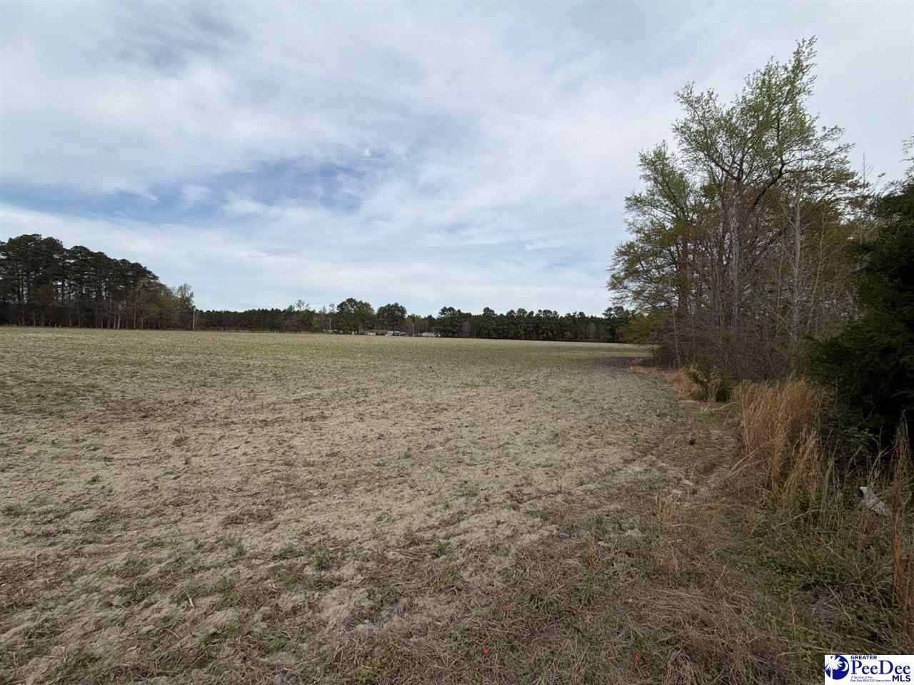 Mta 3 Judson Rd Photo 11