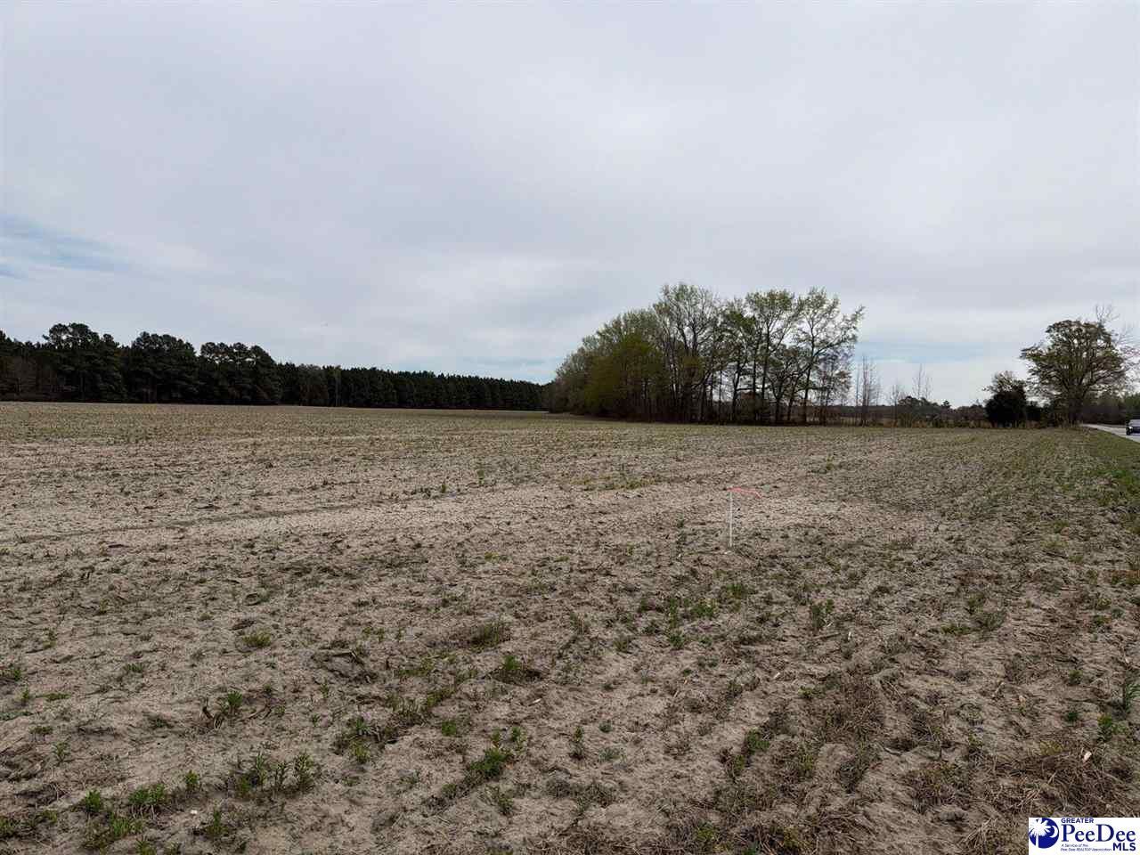 Mta 3 Judson Rd Photo 12