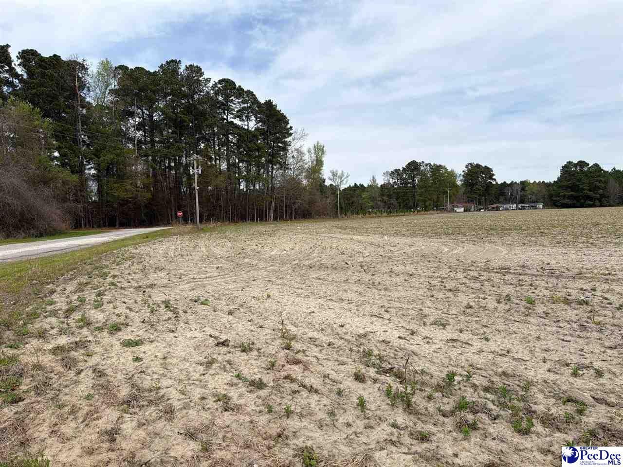 Mta 3 Judson Rd Photo 13