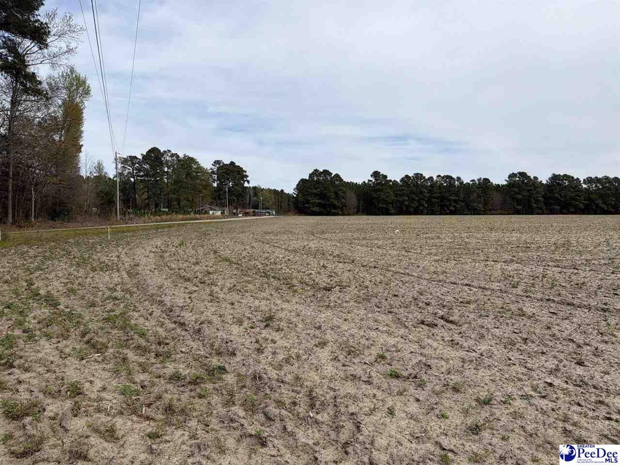 Mta 3 Judson Rd Photo 14