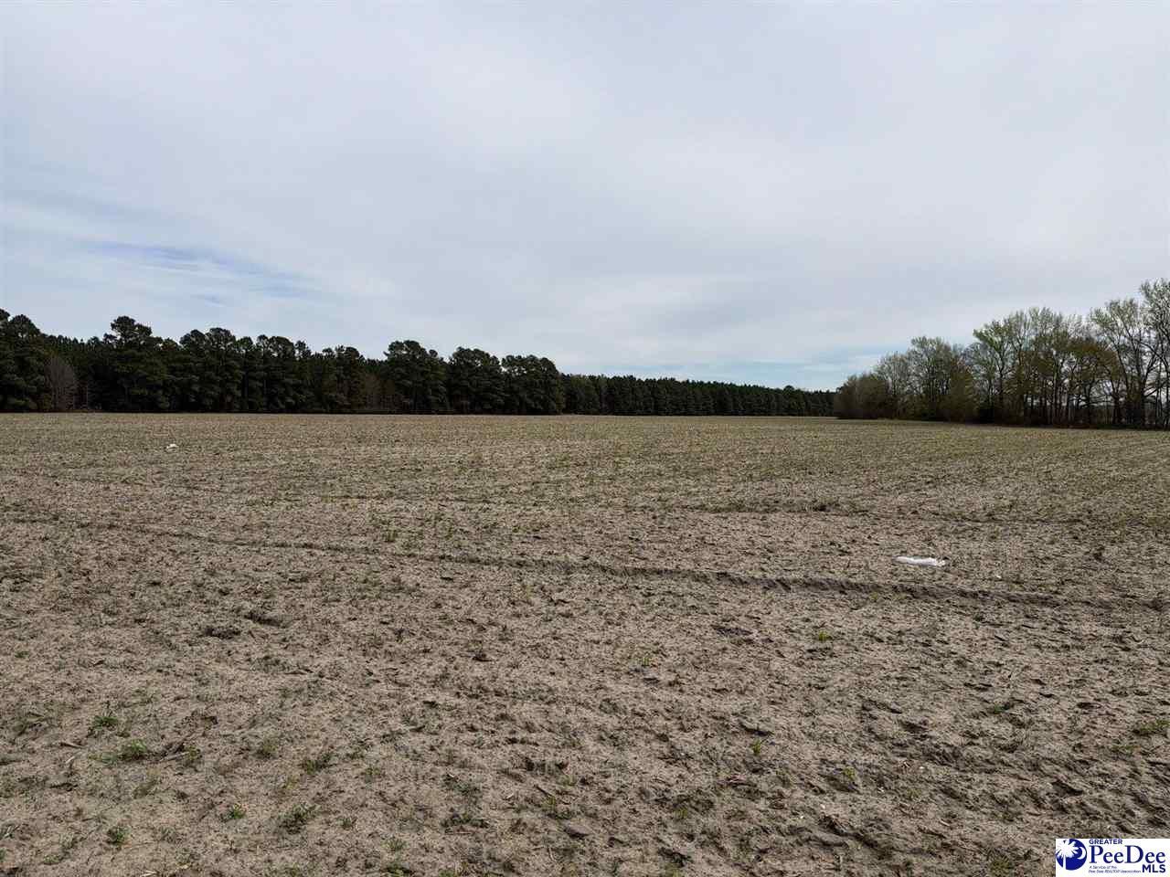 Mta 3 Judson Rd Photo 15