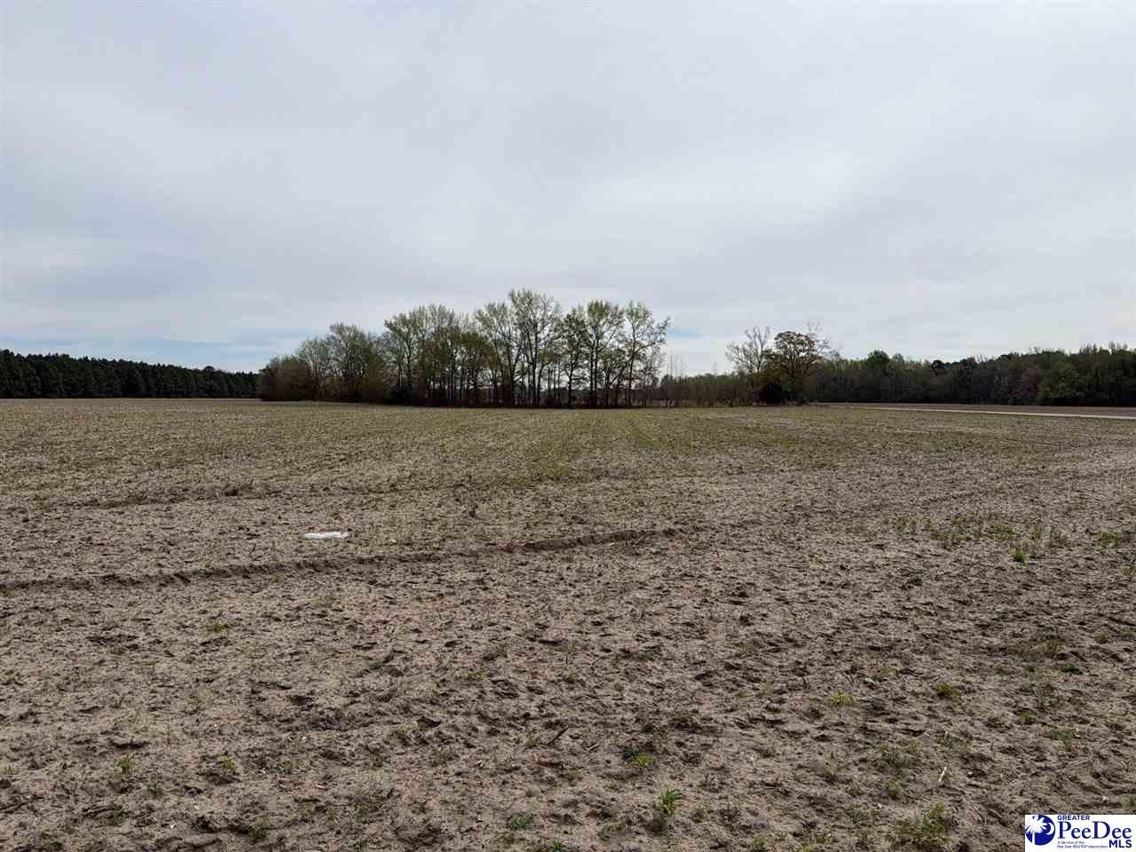 Mta 3 Judson Rd Photo 16