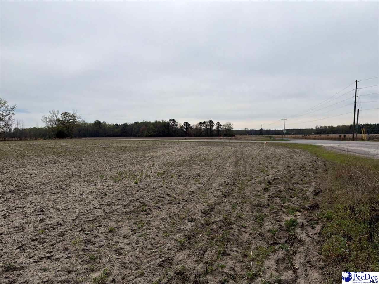 Mta 3 Judson Rd Photo 17