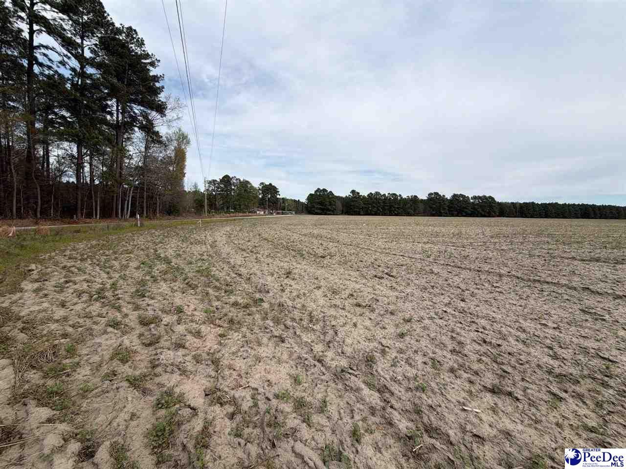 Mta 3 Judson Rd Photo 18