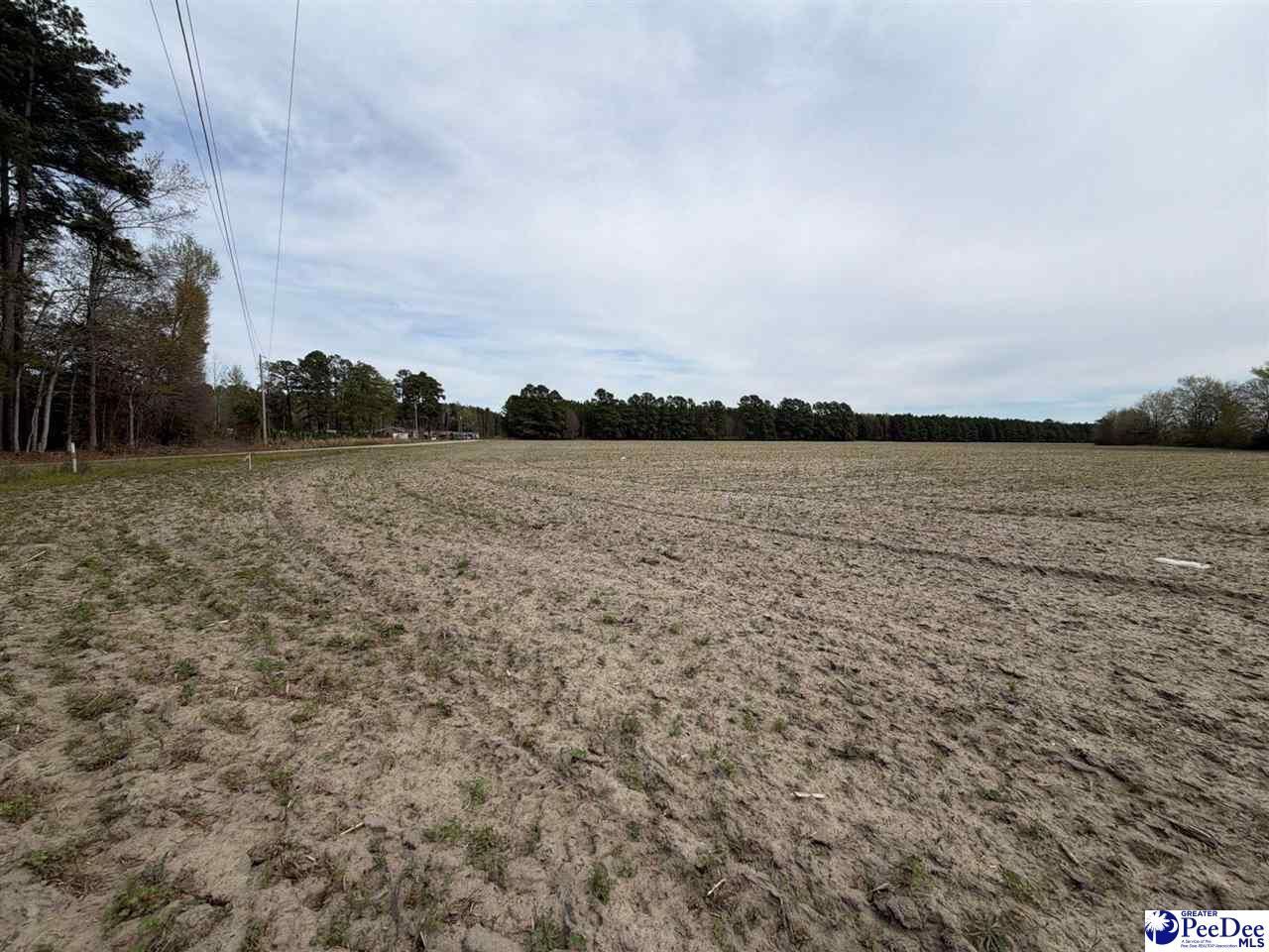 Mta 3 Judson Rd Photo 19