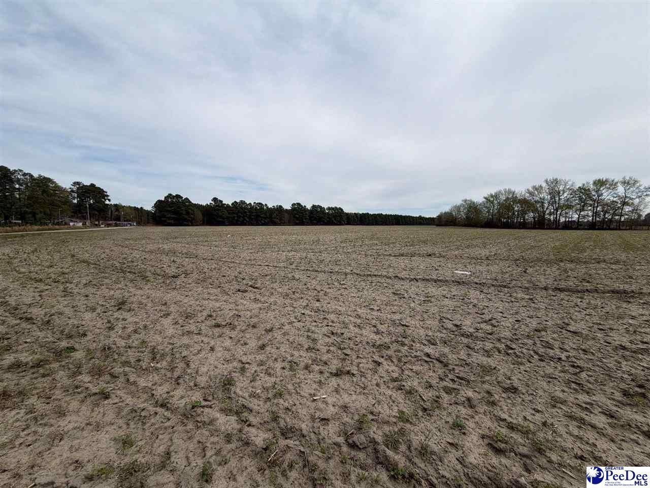 Mta 3 Judson Rd Photo 20